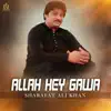 Sharafat Ali Khan - Allah Hey Gawa - Single